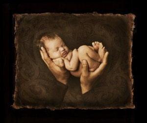 LifeArt&trade; fine art prints by Lifeworks